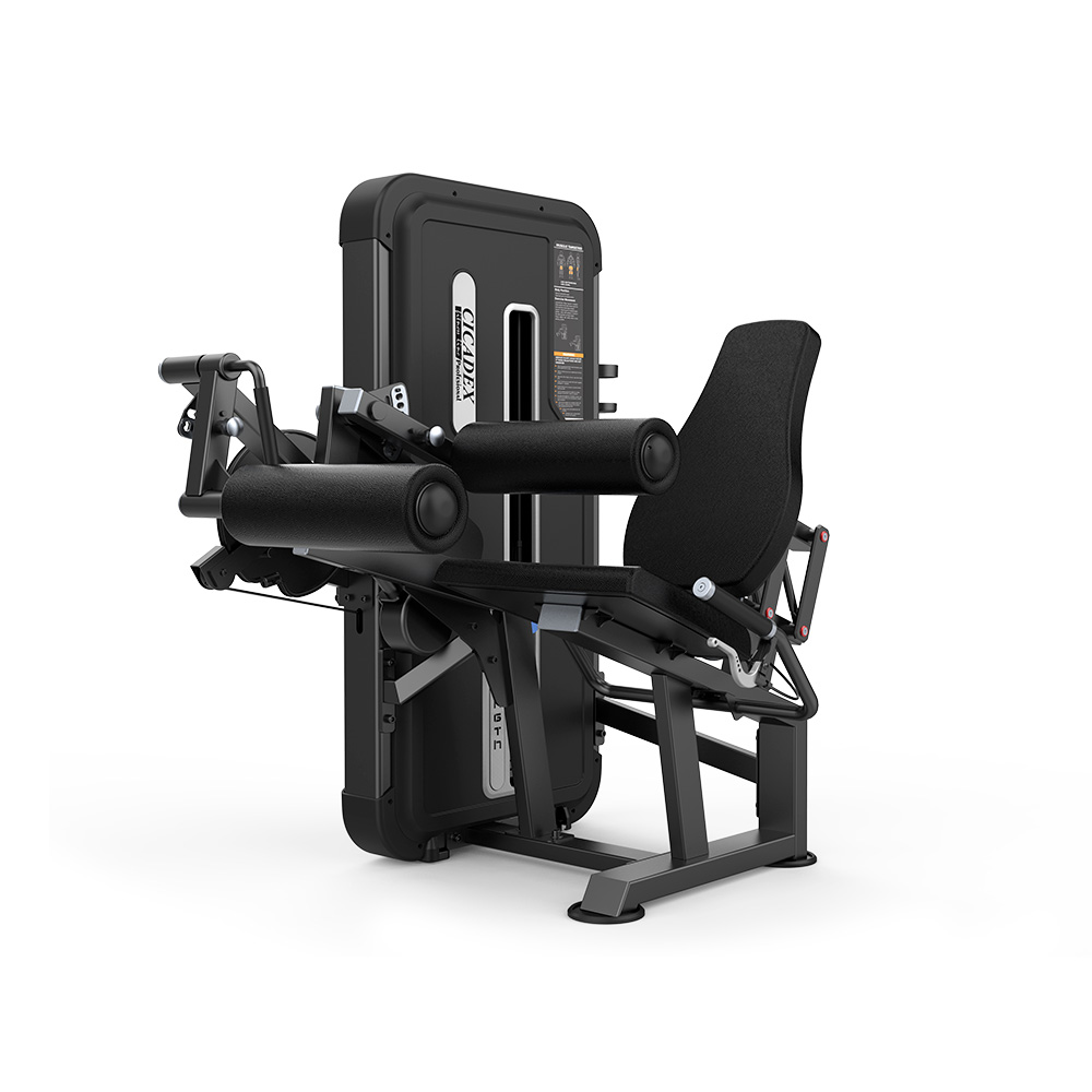 Leg Extension & Leg Curl – CICADEX Fitness Profesional