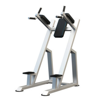 Vertical Knee Up / Dip – CICADEX Fitness Profesional